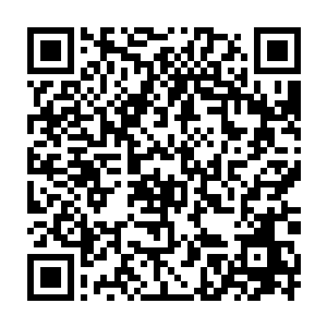 毕竟到时候真的统一天域的话我们绝对会称为他们的眼中钉肉中刺二维码生成