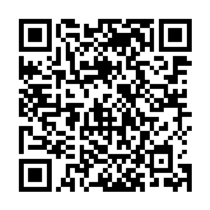 毕竟千年对他们这个层次的人来说也就是弹指一瞬间的事情二维码生成