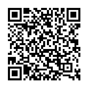 毕竟华夏国之中比他们要强大的势力还是存在的二维码生成