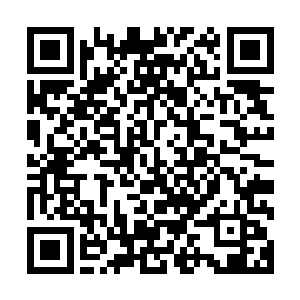 毕竟南极和北极老祖已经不知道多少年没有参与过外界的纷争二维码生成