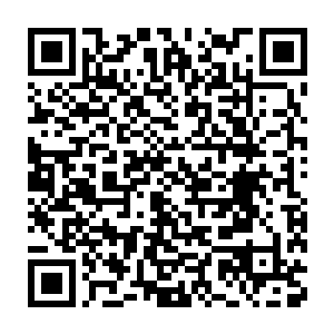 毕竟卡加斯中所有老生都知道院长大人是十分偏袒那些平民学生的二维码生成