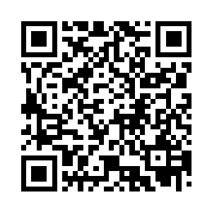 毕竟即便是在美女如云的东南航空公司二维码生成