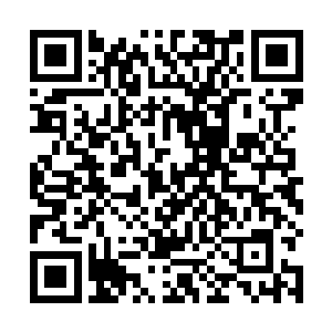 毕竟只是少部分人要利用大部分人达到她们的目的而已二维码生成