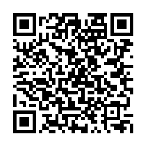 毕竟可不是每个人都跟他一样有如此众多的至宝二维码生成