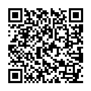 毕竟咱们这龙堡的拍卖品可是最终压轴的重头戏啊二维码生成