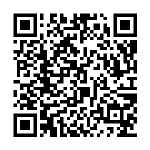 毕竟唐婉在中海地盘上有着令人不容忽视的人脉二维码生成