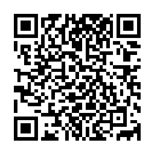 毕竟唐漠当年有着一个人打趴七十多个黑帮份子的惊人战绩呢二维码生成