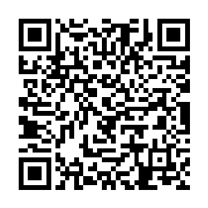 毕竟土耳其方面也没有百分之百的全面控制东部地区二维码生成