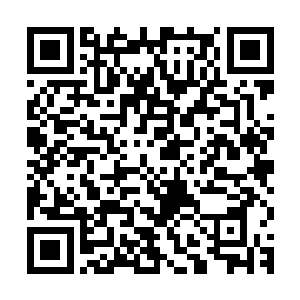 毕竟在不知道金在珉能力是什么效果的情况下他也不敢随便下手二维码生成