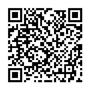 毕竟在他们认为这里可是龙岛由不得格里斯在这里二维码生成