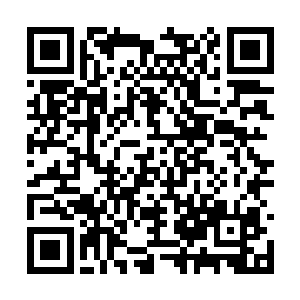 毕竟在这里他已经得罪了一个狂龙佣兵团和冯连虎二维码生成