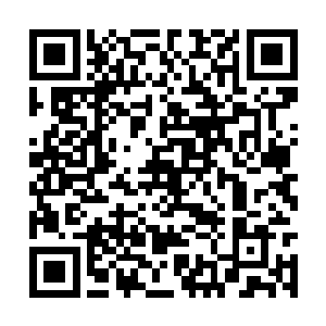 毕竟在这里的可是都活了几千年上万年的老家伙了二维码生成