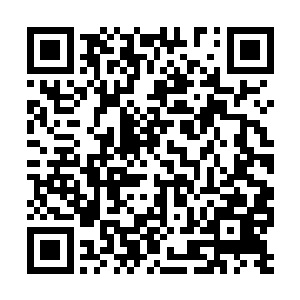 毕竟在那里龙傲天敢肯定一定不会缺少那种老怪物二维码生成