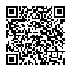 毕竟大型巫师学派必定有二级甚至以上的巫师坐镇二维码生成