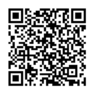 毕竟天之境现在才是我所有势力里相对最安全的区域二维码生成