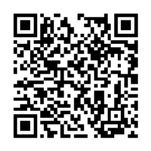 毕竟太古红龙可是把自己一生的宝藏都埋在了那里二维码生成