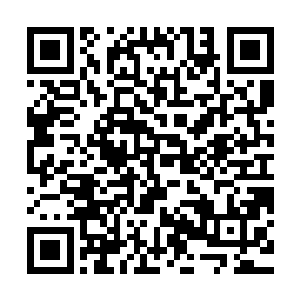 毕竟她不能像后世医学院那样用五年的时间来让学子读一个本科二维码生成