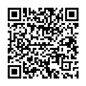 毕竟她实在想不起来在那个地方还有谁还记得自己二维码生成