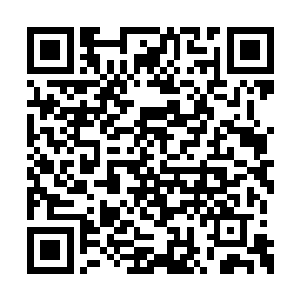 毕竟她当年也在幽暗星的凌霄宗中待过一段时间二维码生成