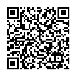 毕竟她现在这一身小黑裙子和已经绑成蜈蚣辫的头发二维码生成