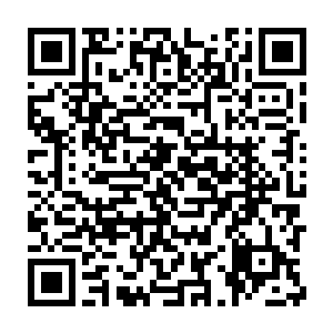 毕竟她还是头一次见到果子里面没有汁液竟然全都是白色的粉末的这种二维码生成