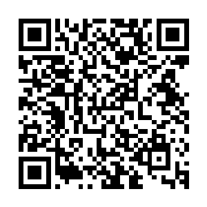 毕竟如此之多的烛火之舟出现在冥河上也是极为罕见的一种情况二维码生成