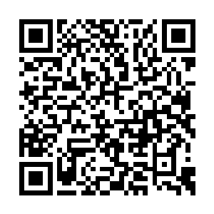 毕竟学府内的学子历年都是进入仙宗的主要人选二维码生成