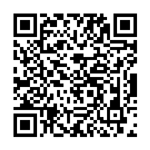 毕竟对于圣骑估计还没有谁敢光明正大的去招惹圣庭二维码生成