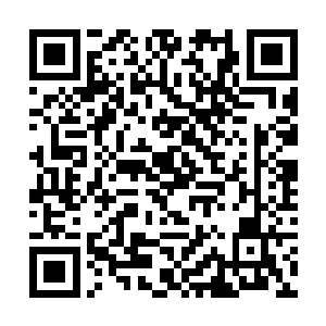 毕竟对于甚至连三尸强者都斩杀了好几个的他们而言二维码生成