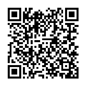 毕竟对方的实力乃是整个影月组织最为靠前的存在二维码生成