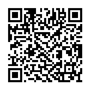 毕竟对方的实力是他们两个加起来也难以打赢的二维码生成