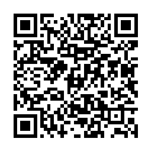 毕竟就算是在修真界金龙的数量也是十分的稀少的二维码生成