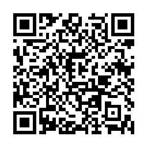 毕竟已经确认了荒野殿堂的开启者并非荒野之神本人二维码生成
