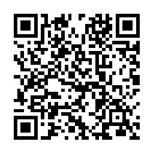 毕竟帝国各大正规军团名义上来说都是属于帝室的力量二维码生成
