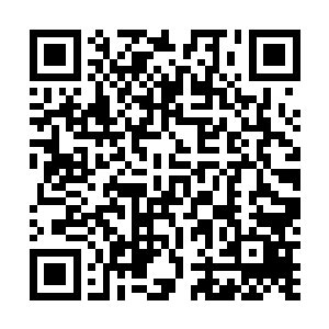 毕竟帝国舰队可不是单凭他们的水手就能控制两个行省的二维码生成