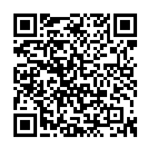 毕竟张若惜就在前几日才刚突破到返虚镜的境界二维码生成