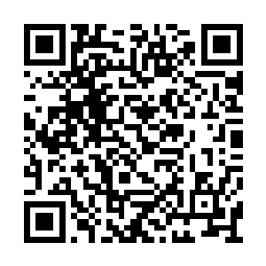 毕竟当初……我们可以说夺走了她成为神的机会二维码生成