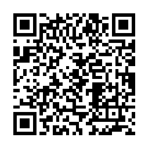 毕竟当年他就是在这种可怕力量的轰击下被生生击毁二维码生成