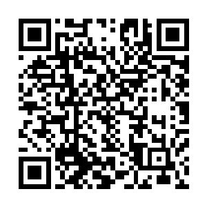 毕竟当年她们那批人也是被杨开借助小乾坤带出的血妖洞天二维码生成