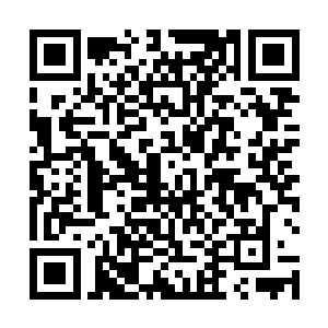 毕竟当时她真的只是将林烽纯粹当做是自己的学生而已二维码生成