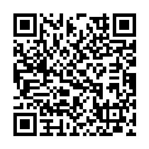 毕竟当时提议莫小鱼去除掉秦雷的主意是自己出的二维码生成