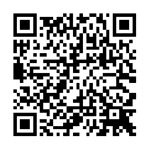 毕竟往后帝依菲和帝依琴都要留在天一界助我一臂之力二维码生成