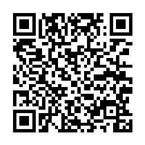 毕竟往年岚山一族也有人来买仙冥根来为她蜕变体质续命二维码生成