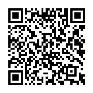 毕竟怎么说他青云派也是这方圆数千里内的霸主二维码生成