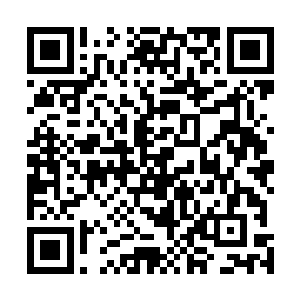 毕竟愤怒等人面对的可是两个不朽强者和数十个神级强者二维码生成