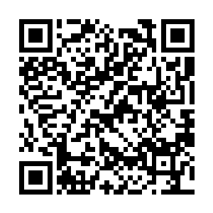 毕竟我也需要你们能够心无旁骛地发挥你们的天赋二维码生成