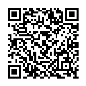 毕竟我们要面对的是人等级中的第九等级的荒魔二维码生成