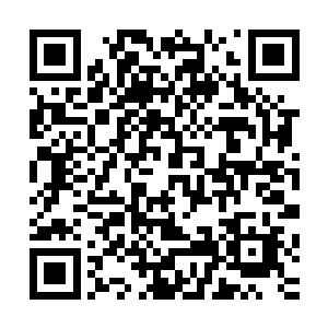 毕竟掌握着仙人的仙人基本都是不喜欢别人在自己地盘上撒野二维码生成