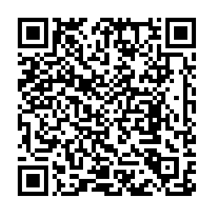 毕竟控制着幽冥幡吸收了十三个魔族人尊期大修士和两万余魔族修士二维码生成