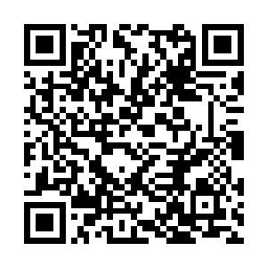 毕竟教皇这已经是搭上了自己的面子来帮助苏凡了二维码生成